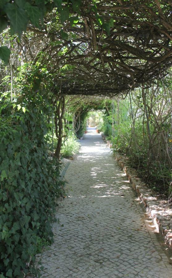 Canavial Garden (Adults Only) Lagos Exterior foto